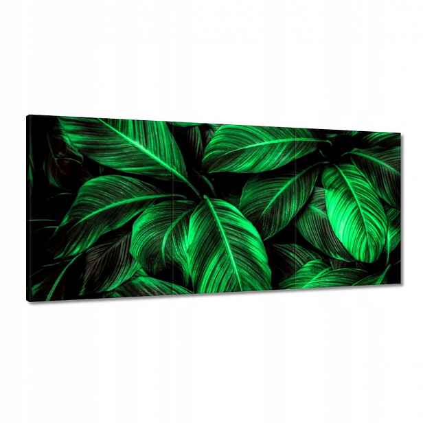 Obrazy 210x100 Zelené listy