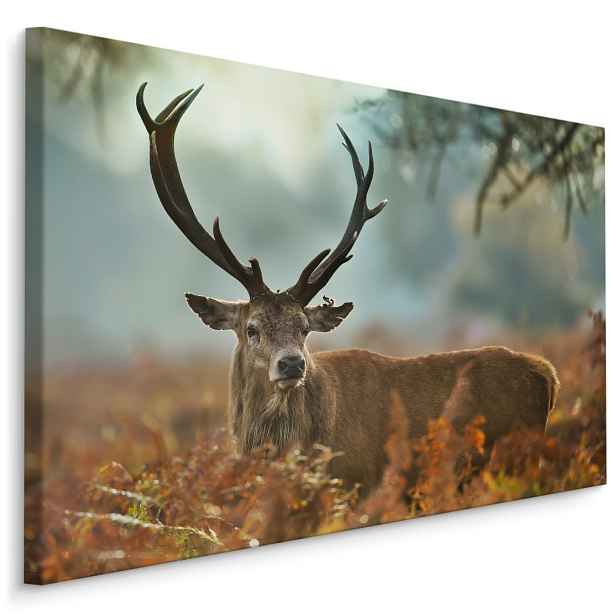 MyBestHome BOX Plátno Nádherný Jelen V Období Říje Varianta: 70x50