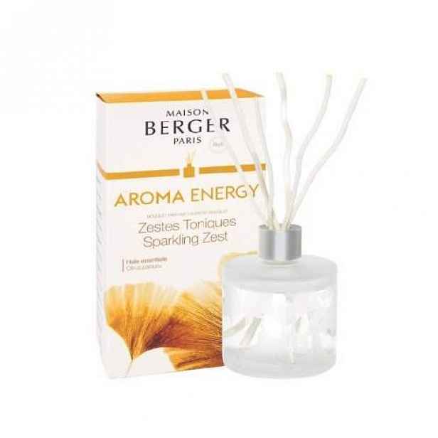 Maison Berger Paris Difuzér s vrbovými tyčinkami Aroma Energy – Čerstvé tonikum, 180 ml