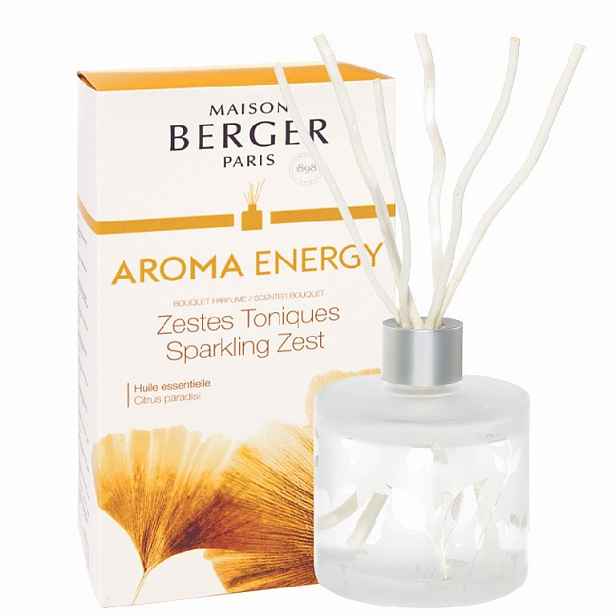 Maison Berger Paris Difuzér s vrbovými tyčinkami Aroma Energy – Čerstvé tonikum, 180 ml