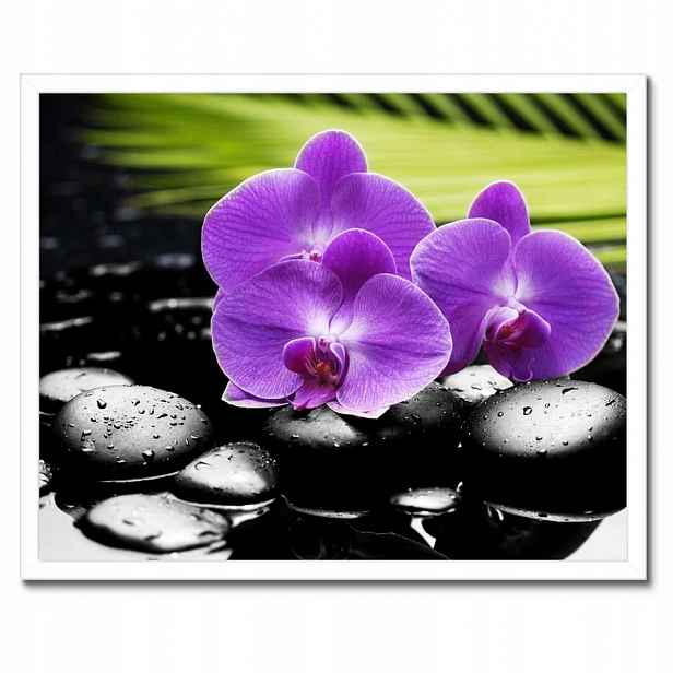Plakáty v rámu 50x40 Fialové orchideje