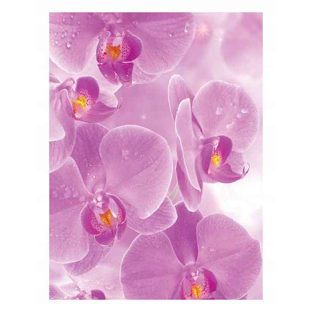 Vinylová fototapeta Růžové orchideje 184x254 jemnost a elegance lepidlo