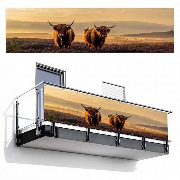 MuchoWow BALKONOVÁ ZÁSTĚNA Skotští horalé - Vřesoviště - Krajina - Zvířata 300x80 cm