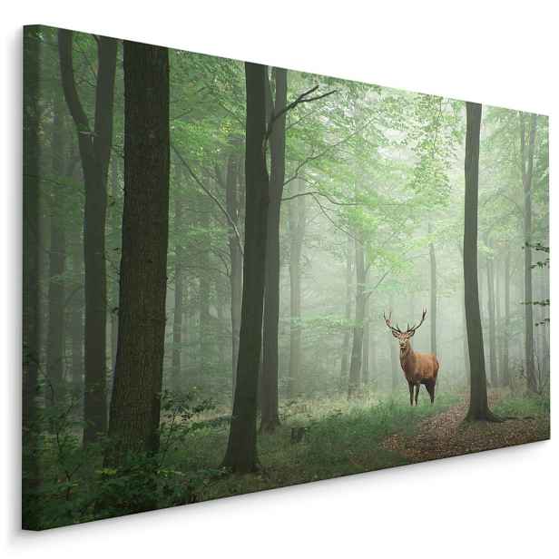 MyBestHome BOX Plátno Jelen V Mlžném Lese Varianta: 90x60