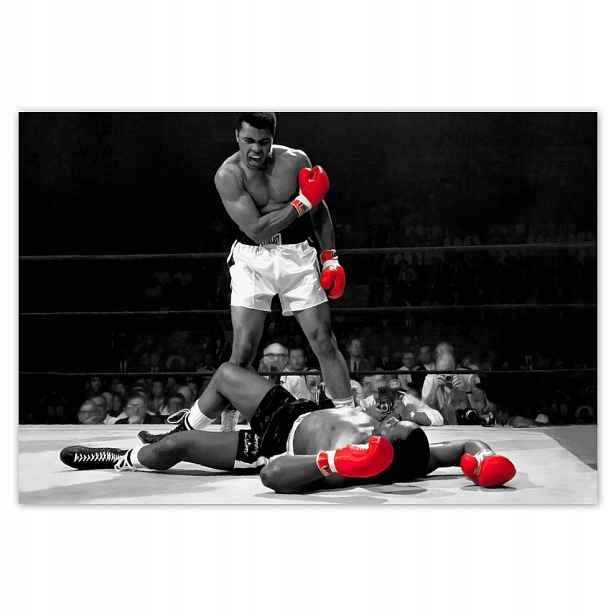 Fototapety flizelina 200x135 Muhammad Ali Boxer