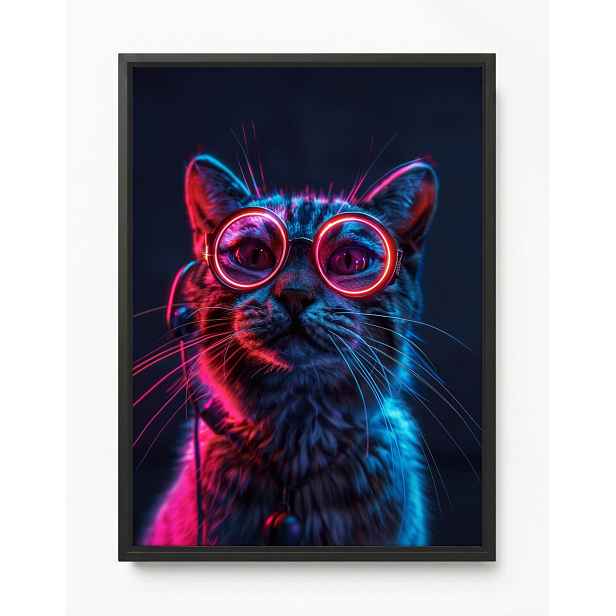 Rám Na Obraz Americká Krabička Portrét Kočka Tommy Růžová Techno Nerd Brýle 60x80