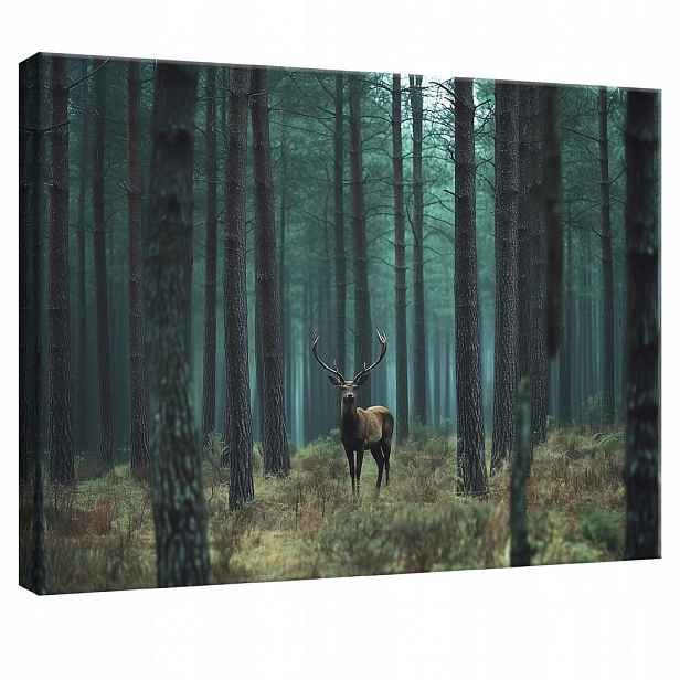 Wallarena OBRAZ na plátně Jelen Les Příroda Moderní 60x40