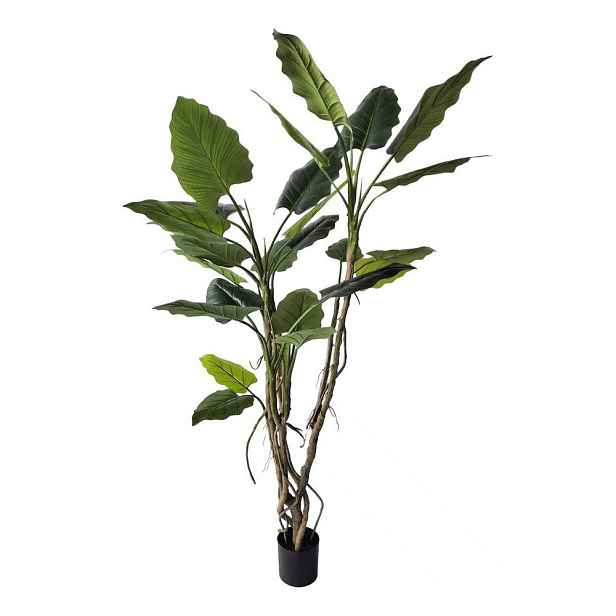 Umělá květina (výška 190 cm) Alocasia – Bizzotto