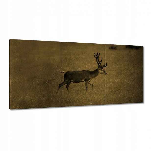 Obrazy 180x90 Jelen