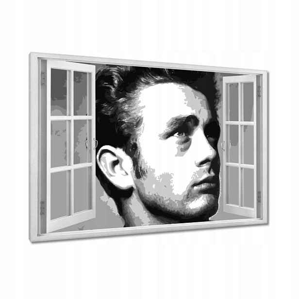 Obrazy 90x60 Herec James Dean