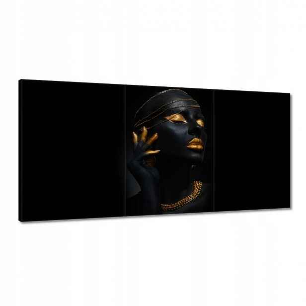 Obrazy 180x90 Zlatá aparace
