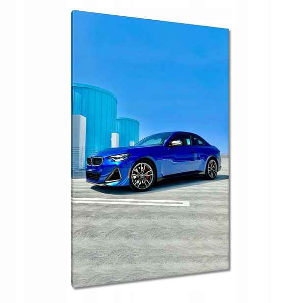 Obrazy 80x120 Modré Bmw Auto