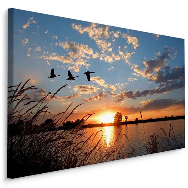 Plátno Ptáci Při Západu Slunce Varianta: 100x70