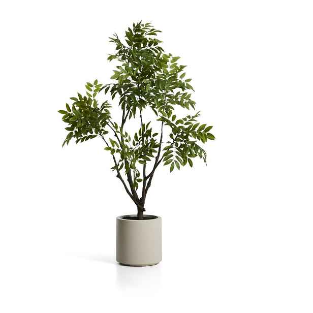 Umělá rostlina (výška 185 cm) Rhus – Kave Home