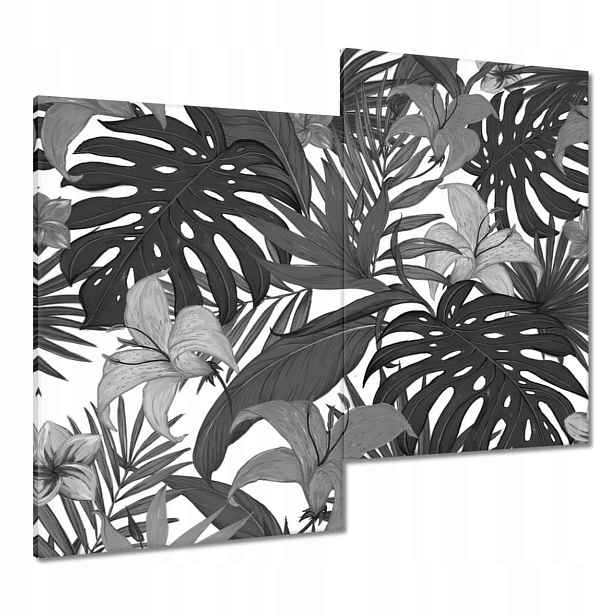 Obrazy 80x70 Černobílá monstera