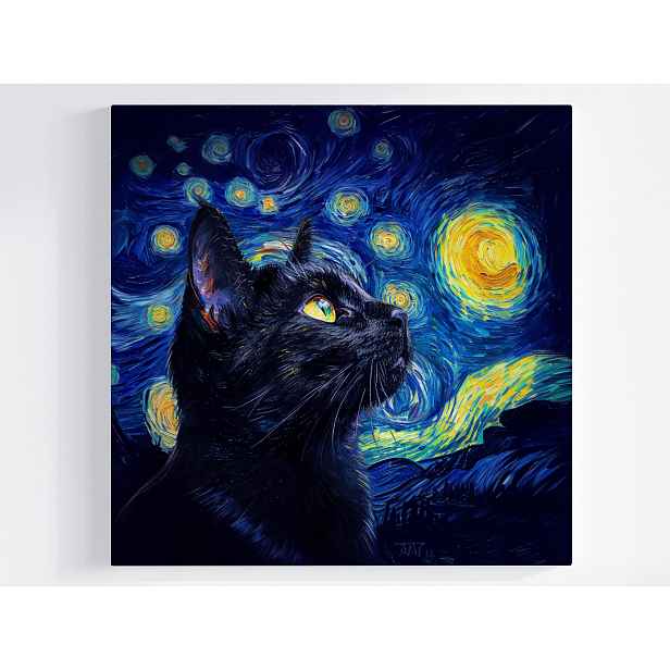 Obraz Na Plátně Canvas Olej Van Gogh Hvězdná Noc Černá Kočka 50x50