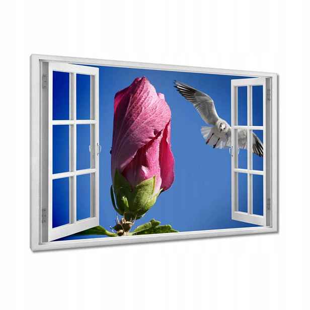 Obrazy 90x60 Nálet
