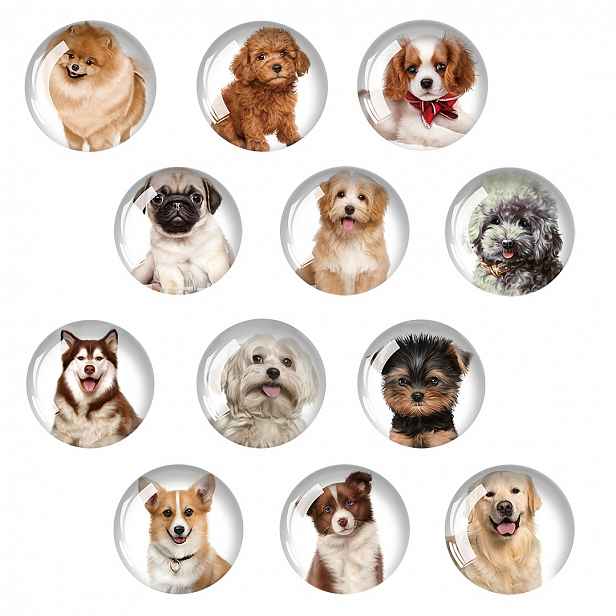 TEMU Jweijiao Skleněná magnetická tabule s psů - Kulatá magnetická základna vhodná na dveře lednice, samolepky s různými plemeny Corgi a Zlatý