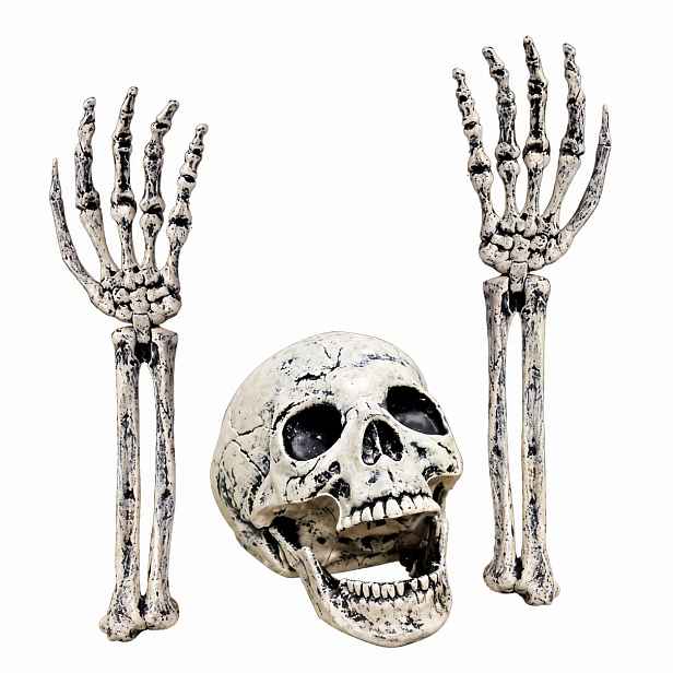 Halloweenská Kostra Lebka 2 Ruce Havran Do Zahrady Hřbitov Dekorace