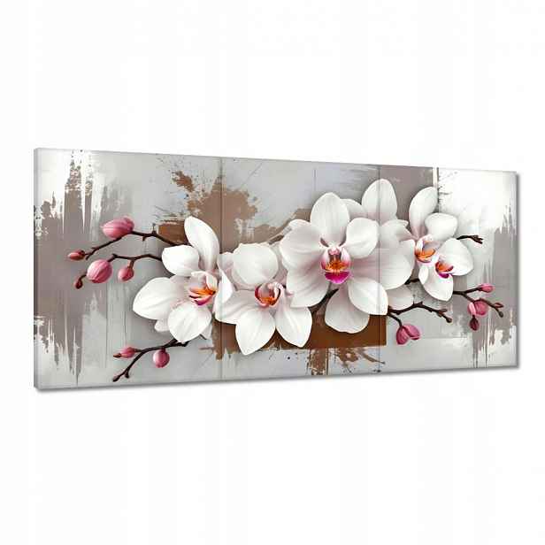 Obrazy 210x100 Bílá orchidej