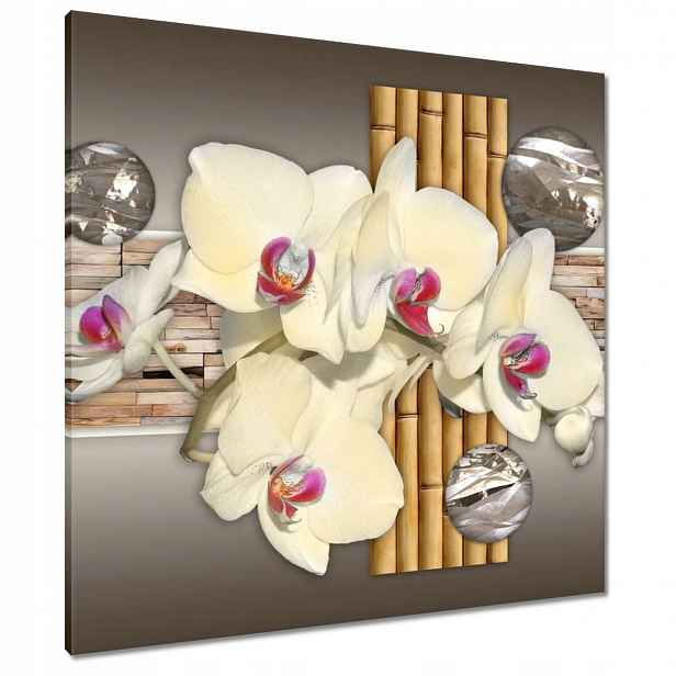 Obrazy 80x80 Orchidej s bambusem