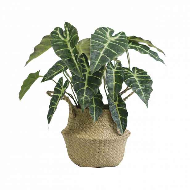 Umělá rostlina Alocasia 46 cm zelené listy, dekorace do obývacího pokoje na balkon