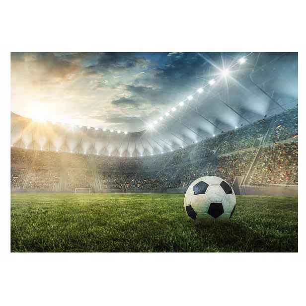 Fototapeta Mládež Fotbalové Hřiště 254x184