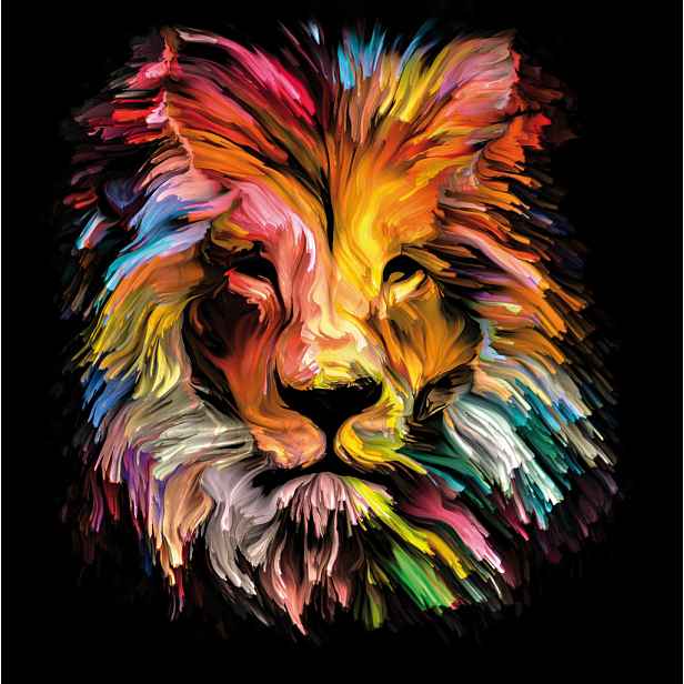 Obraz na plátně Barevný lev, 35x35 cm, efekt olejomalby