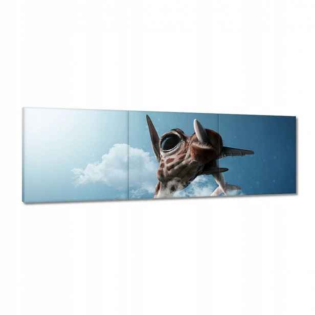 Obrazy 120x40 Letadla Letadlo