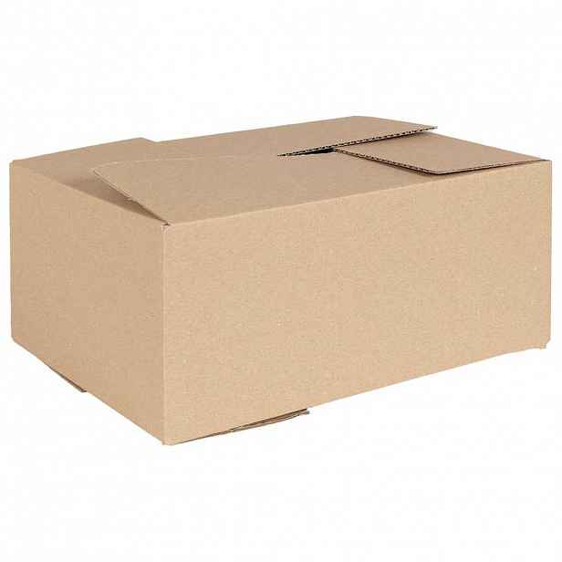 vidaXL Skládací box s úložištěm 50 ks Přírodní 35 x 24 x 15 cm Lepenka