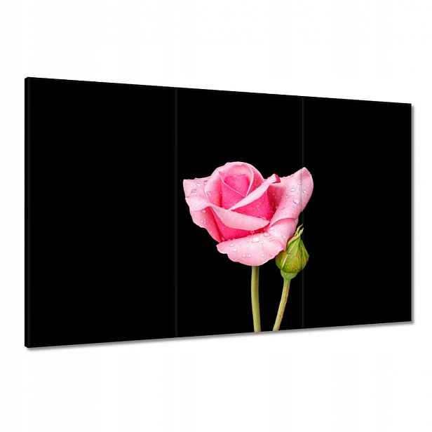 Obrazy 120x80 Pupen růžové růže