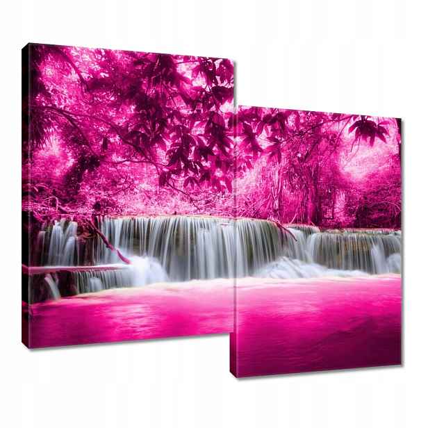Obraz 80x70 Růžový vodopád
