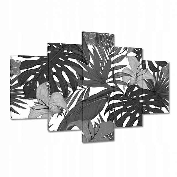 Obrazy 120x80 Černobílá monstera