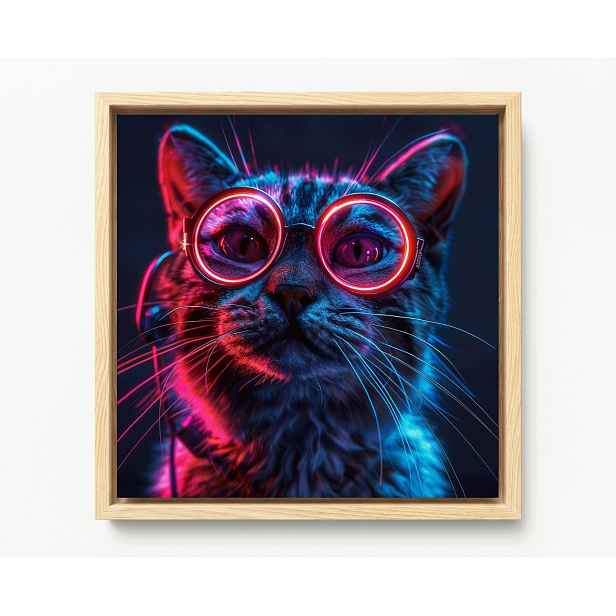 Obraz Rám Americký Box Portrét Kočka Kocur Růžové Brýle Techno Nerd 50x50