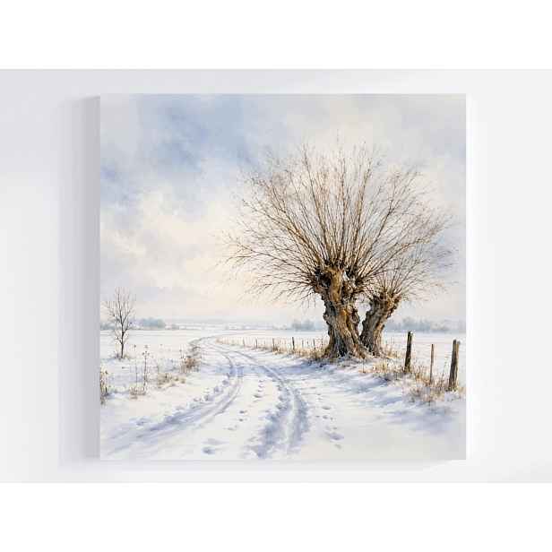 Obraz Na Plátně Canvas Krajina Zima Sníh Mráz Cesta Strom Vrba 50x50