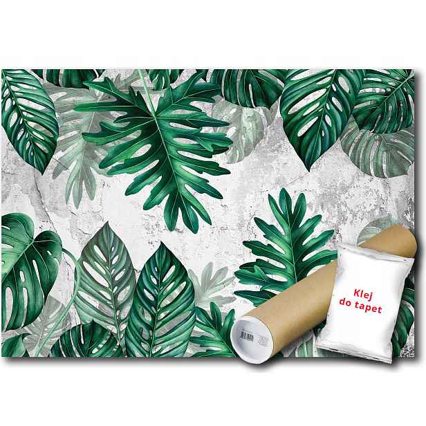 Fototapeta Grafika Listy 15B Fxl 208x146 F13783