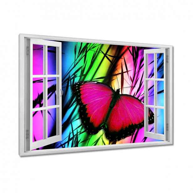 Obrazy 120x80 Motýl