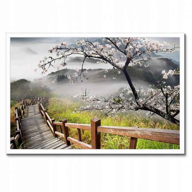 Plakáty v rámu 60x40 Japonsko Kvetoucí višeň