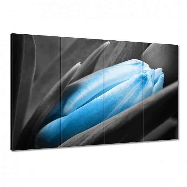 Obrazy 120x80 Modré okvětní lístky Tulipán