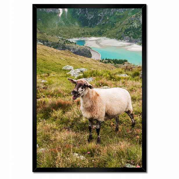 Plakáty v rámu 40x60 Vypas ovce Ovečky Ovce