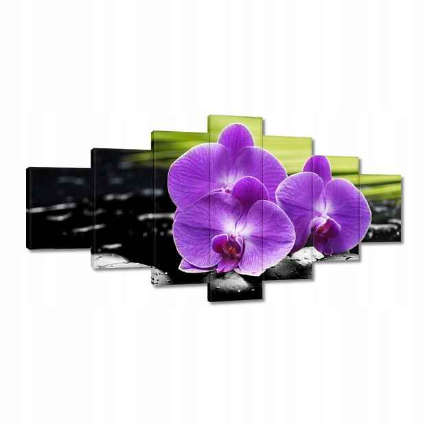Obrazy 210x100 Fialové orchideje