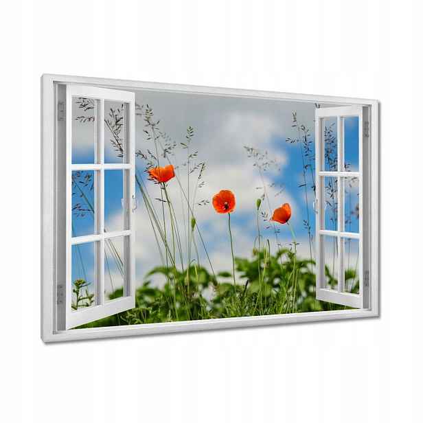 Obrazy 90x60 Červené polní máky