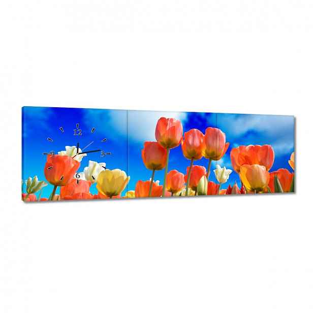 Hodiny 120x40 Barevné tulipány