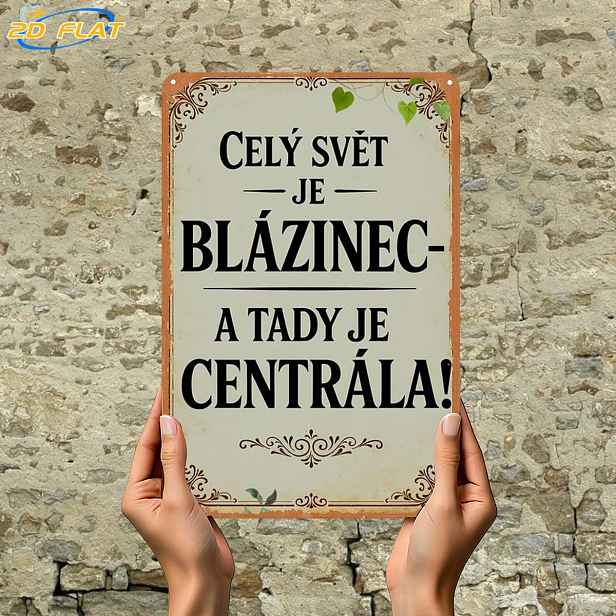 TEMU 2D Plochý, 2D Plochý 1 ks, Celý Svět Je Šílený – A Tady Je Centrální Kancelář!, Kovová Železná Cedule, Velikost (8"x12"/20cm*30cm), Dekorativní