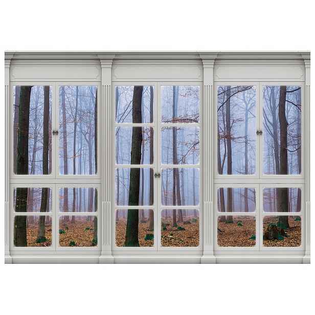 Fototapeta Mlžný zimní les v okně, vinylový rám 208x146 lepidlo