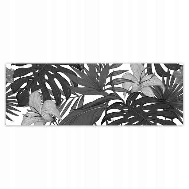 Fototapety 624x219 Černobílá monstera