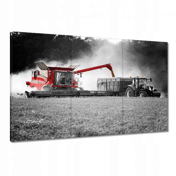 Obrazy 120x80 Červený kombajn Žněva