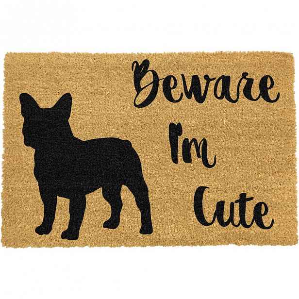Rohožka z přírodního kokosového vlákna Artsy Doormats Cute French, 40 x 60 cm