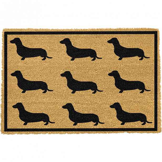 Rohožka z přírodního kokosového vlákna Artsy Doormats Dachshund, 40 x 60 cm