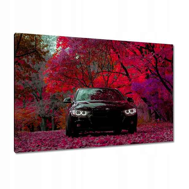 Obrazy 120x80 Černé Bmw Podzim